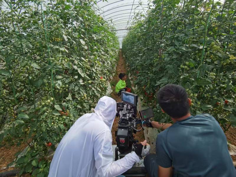 英吉沙县产品宣传视频拍摄公司进阶指南，助力品牌抢占传播高地